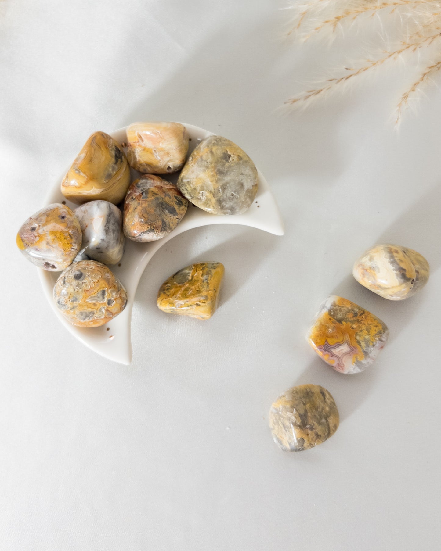 Crazy Lace Agate Tumbles