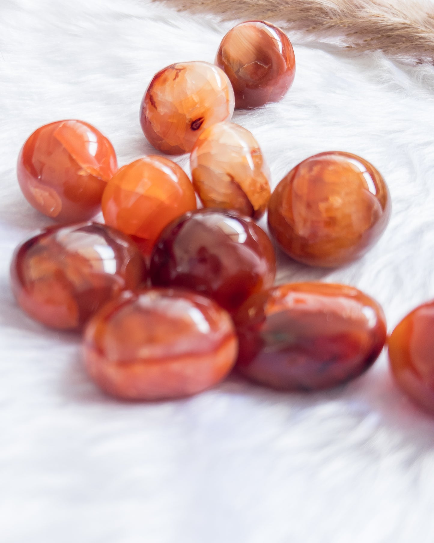 Carnelian Tumbles