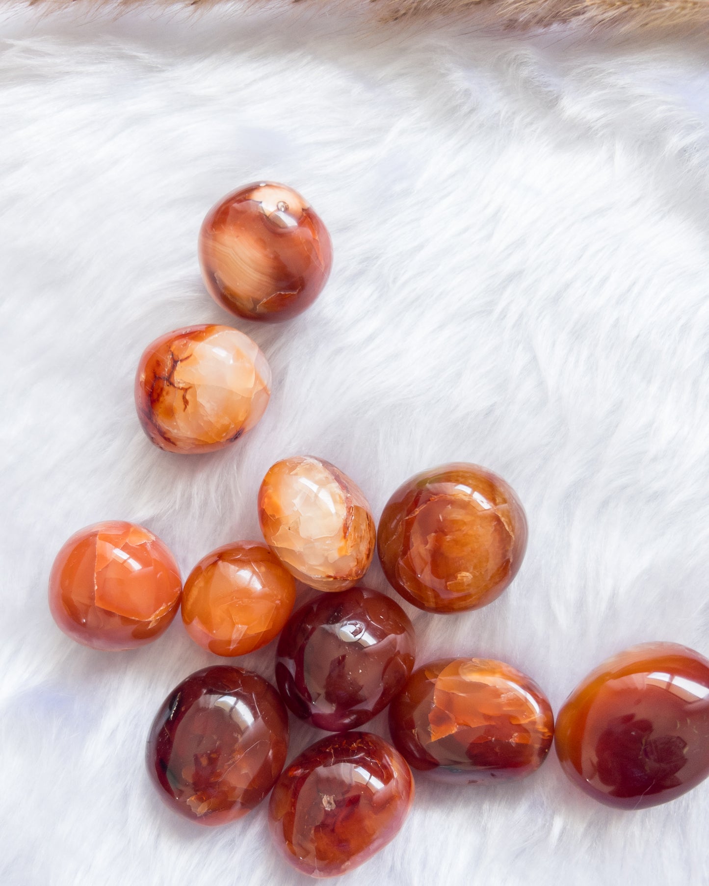 Carnelian Tumbles