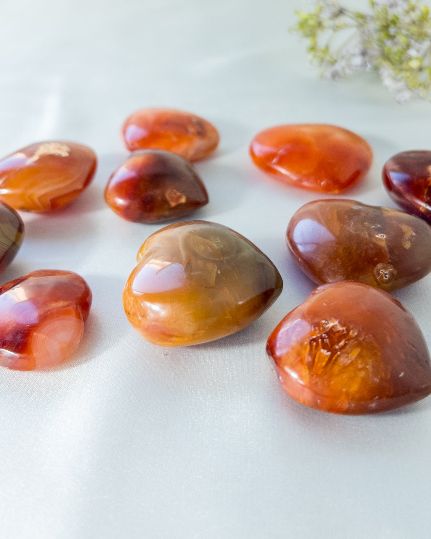 Carnelian Hearts