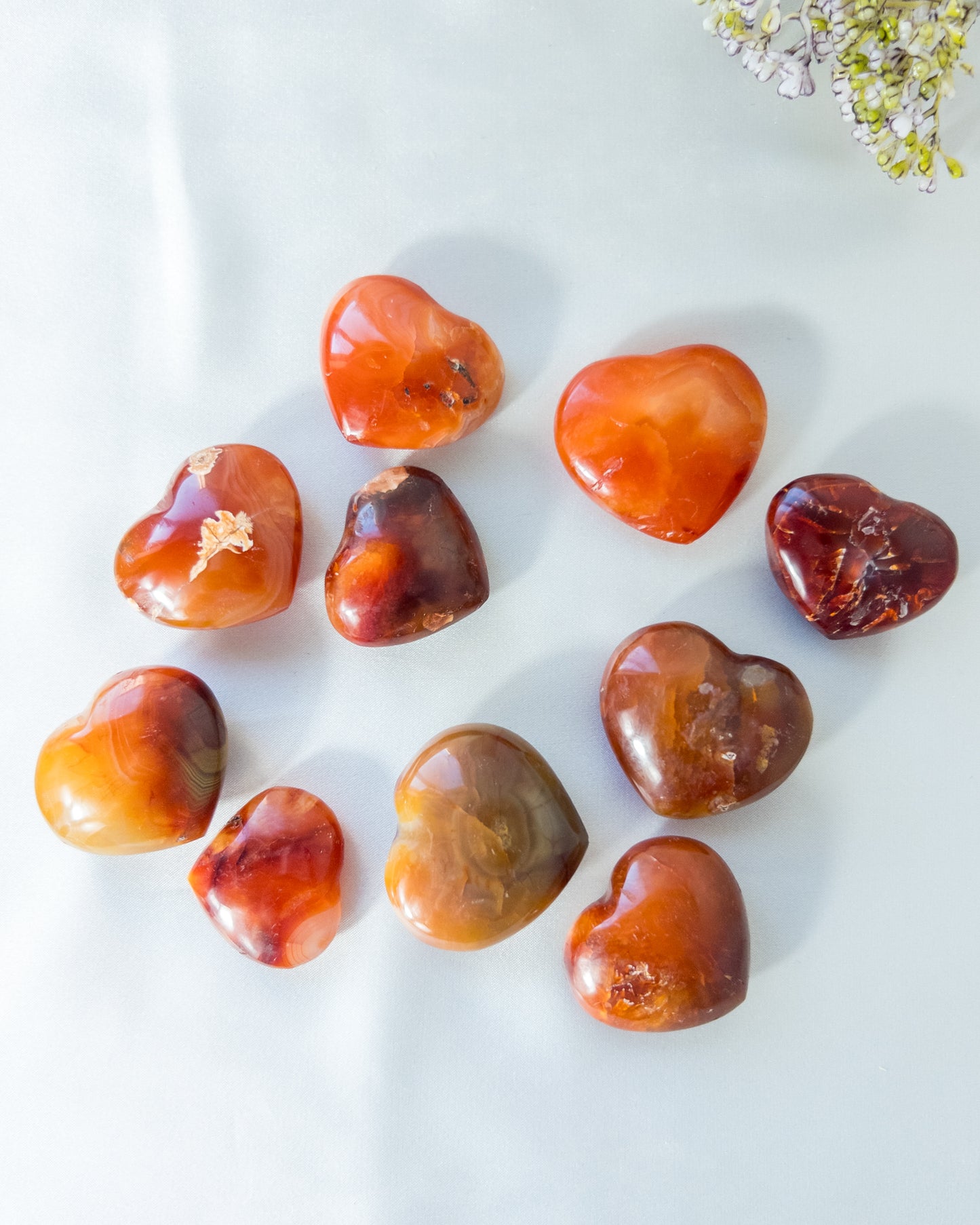 Carnelian Hearts