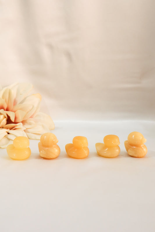 Duck Carvings