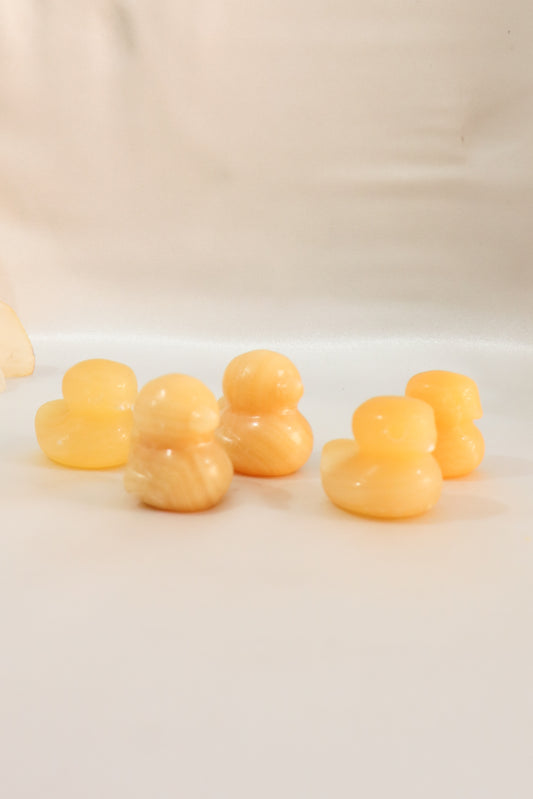 Duck Carvings