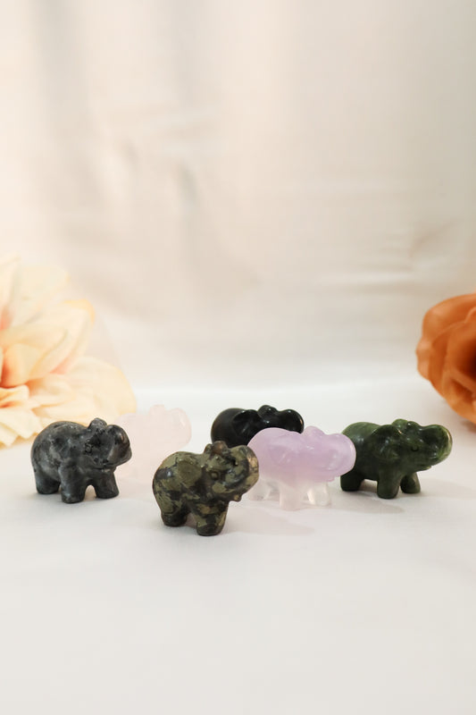 Elephant Carvings