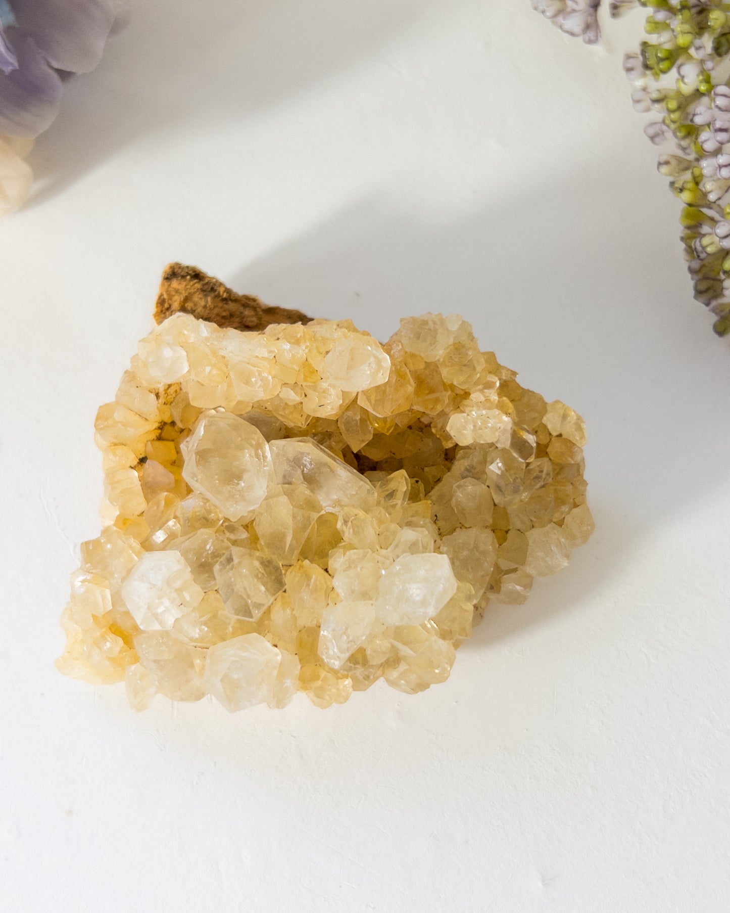 Quartz Cluster w/ Limonite #1