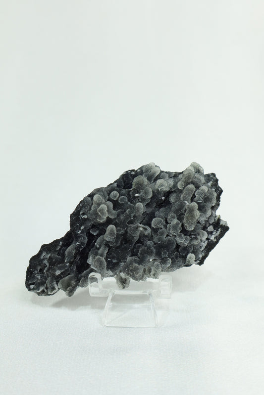 Black Chalcedony & Apophyllite Cluster - High Quality #1