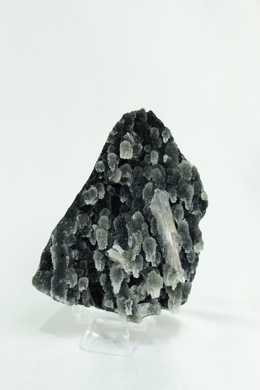 Black Chalcedony & Apophyllite Cluster #12