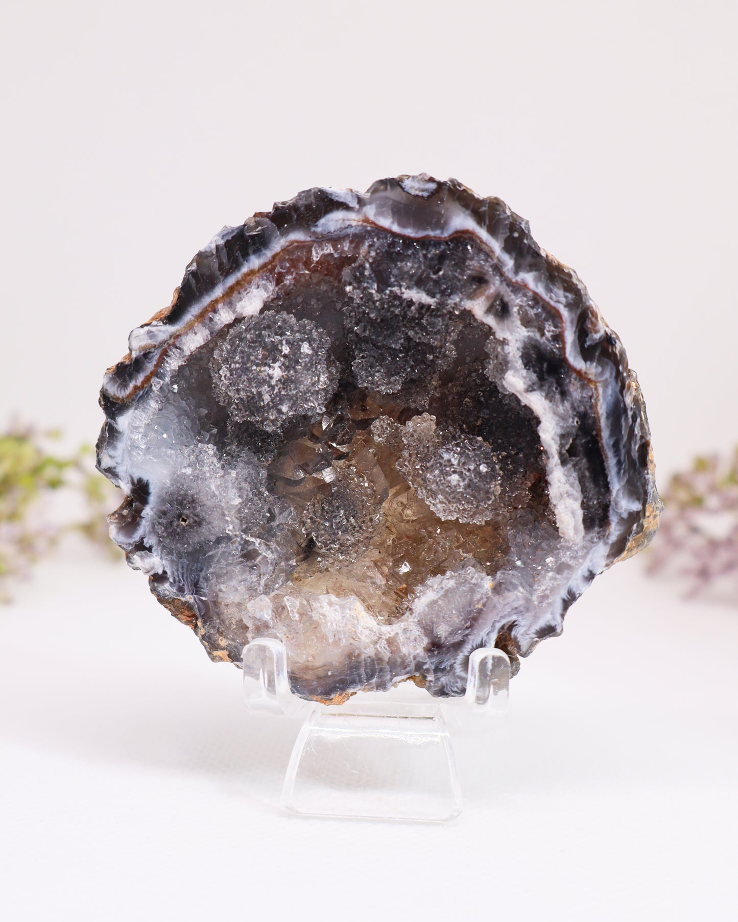 Polished Agate Geode #4