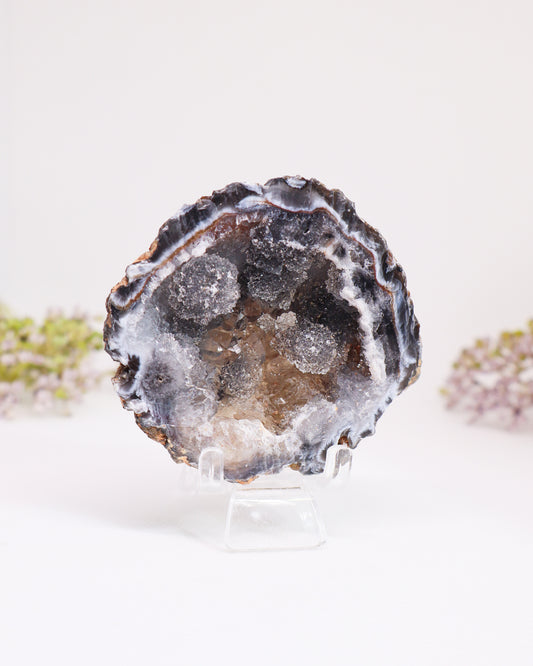 Polished Agate Geode #4