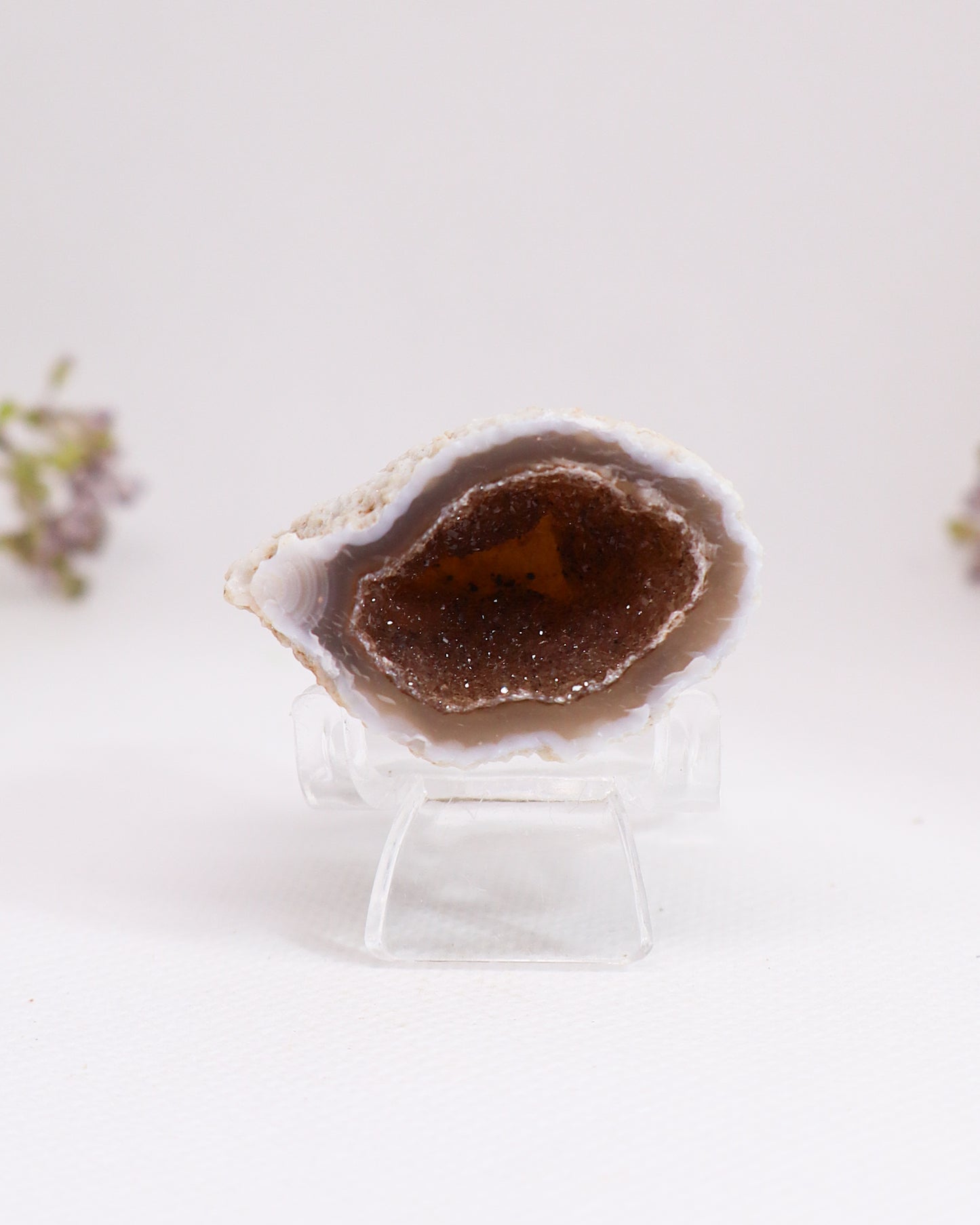 Polished Agate Geode #9