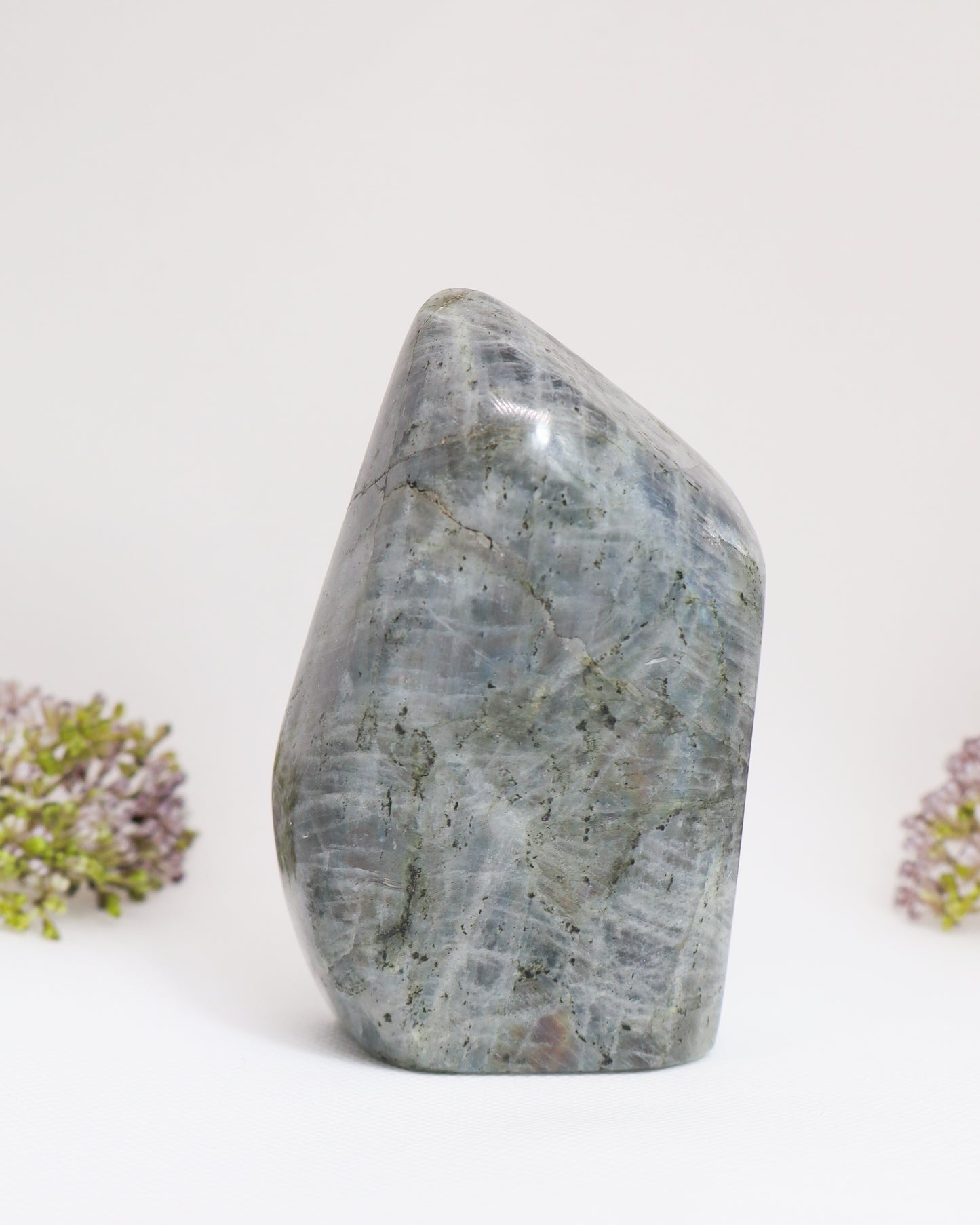 Labradorite Freeform #6