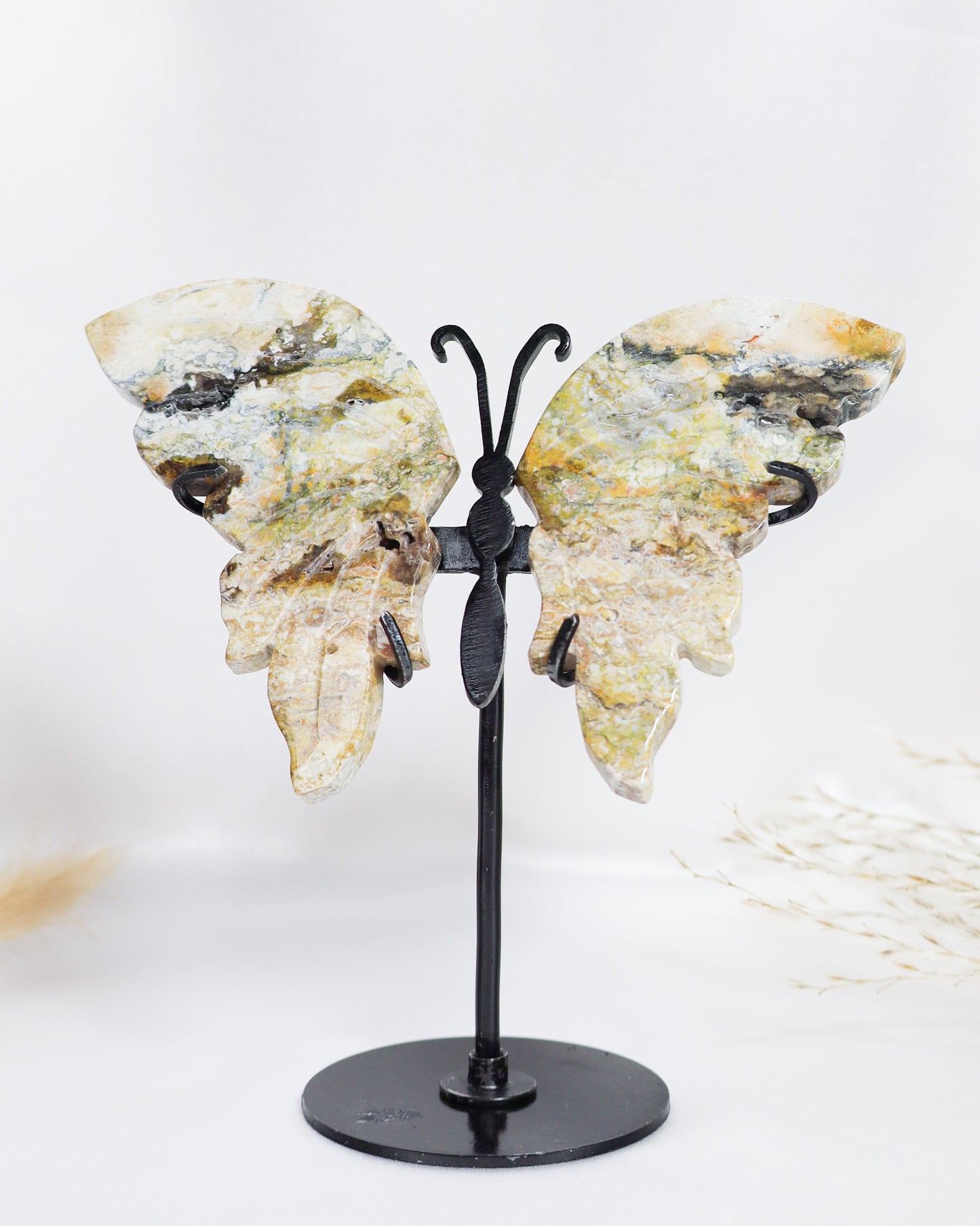 Bumblebee Jasper Butterfly Wings #2