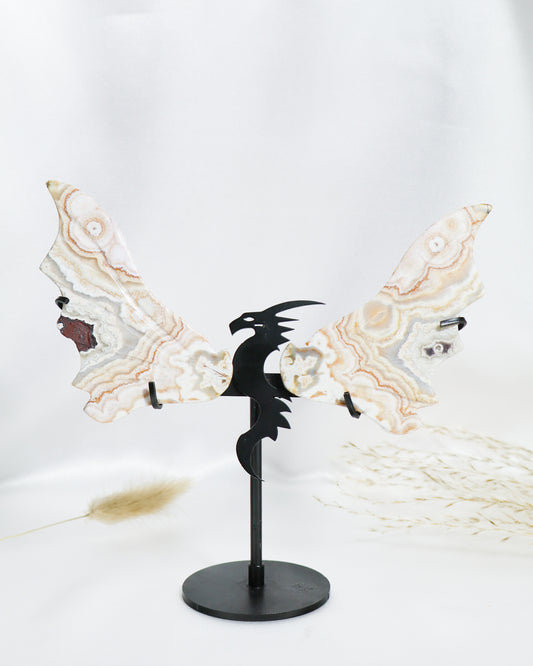 Mexican Crazy Lace Agate Dragon Wings #1