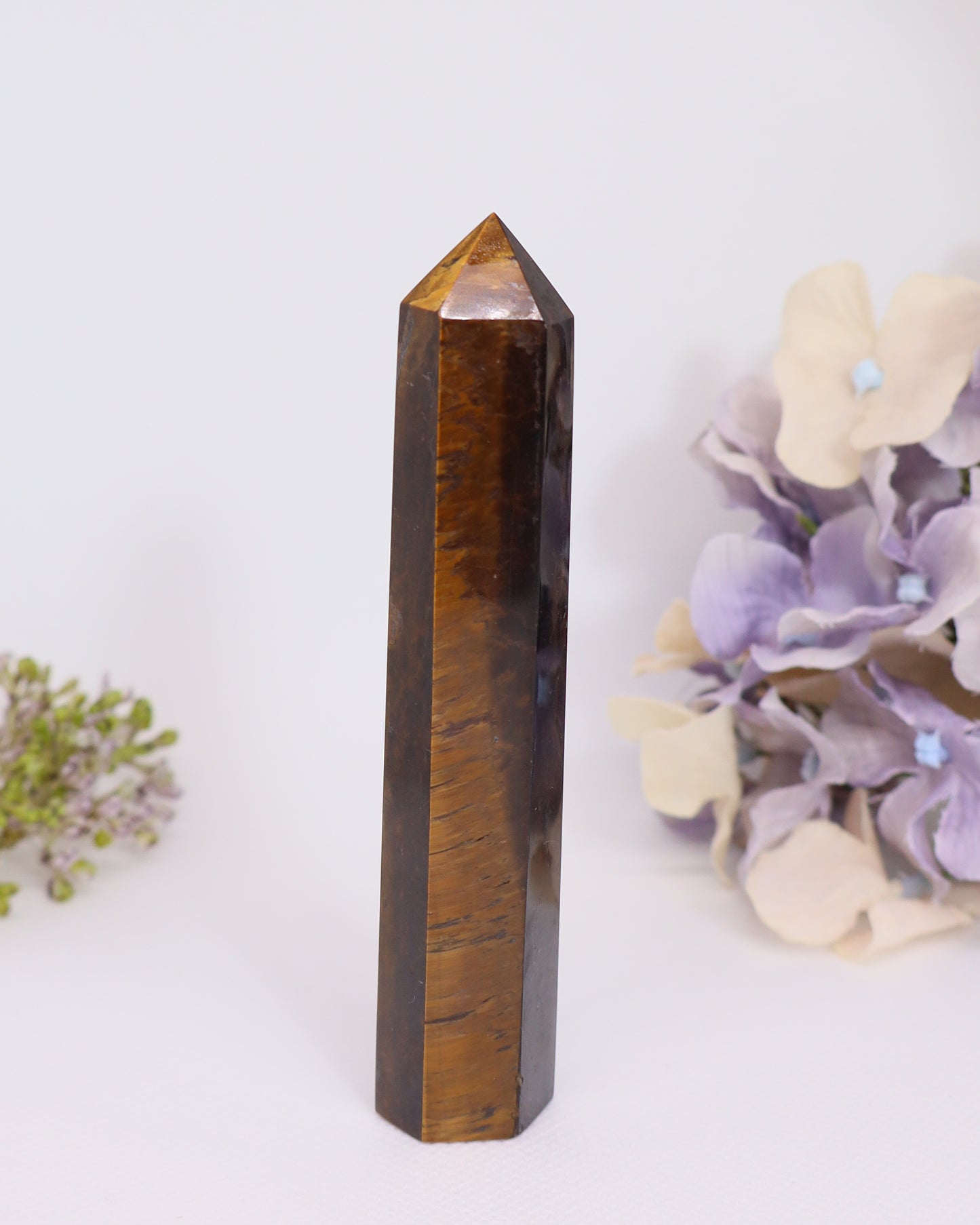 Tiger's Eye Points - Little Tilted to the side