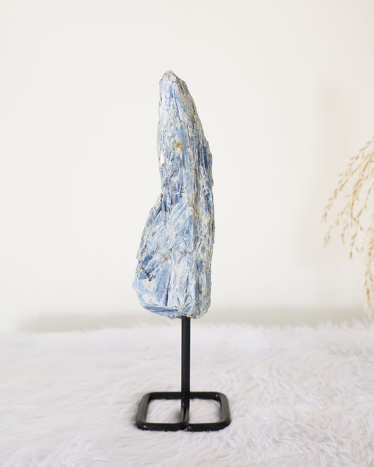 Raw Blue Kyanite on Stand #6