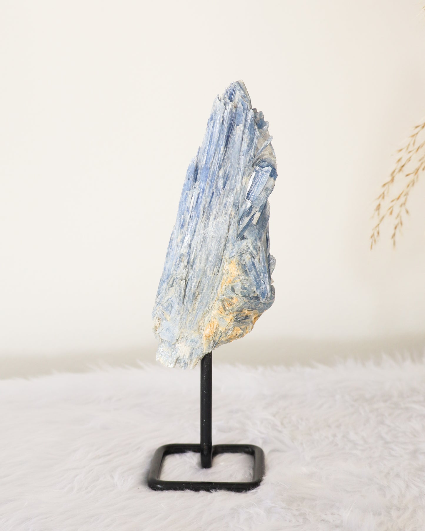 Raw Blue Kyanite on Stand #7