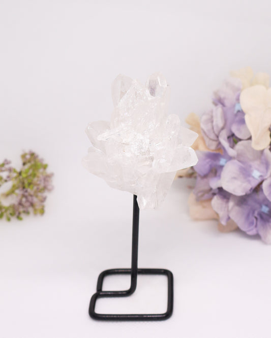 Clear Quartz Cluster on Stand #1