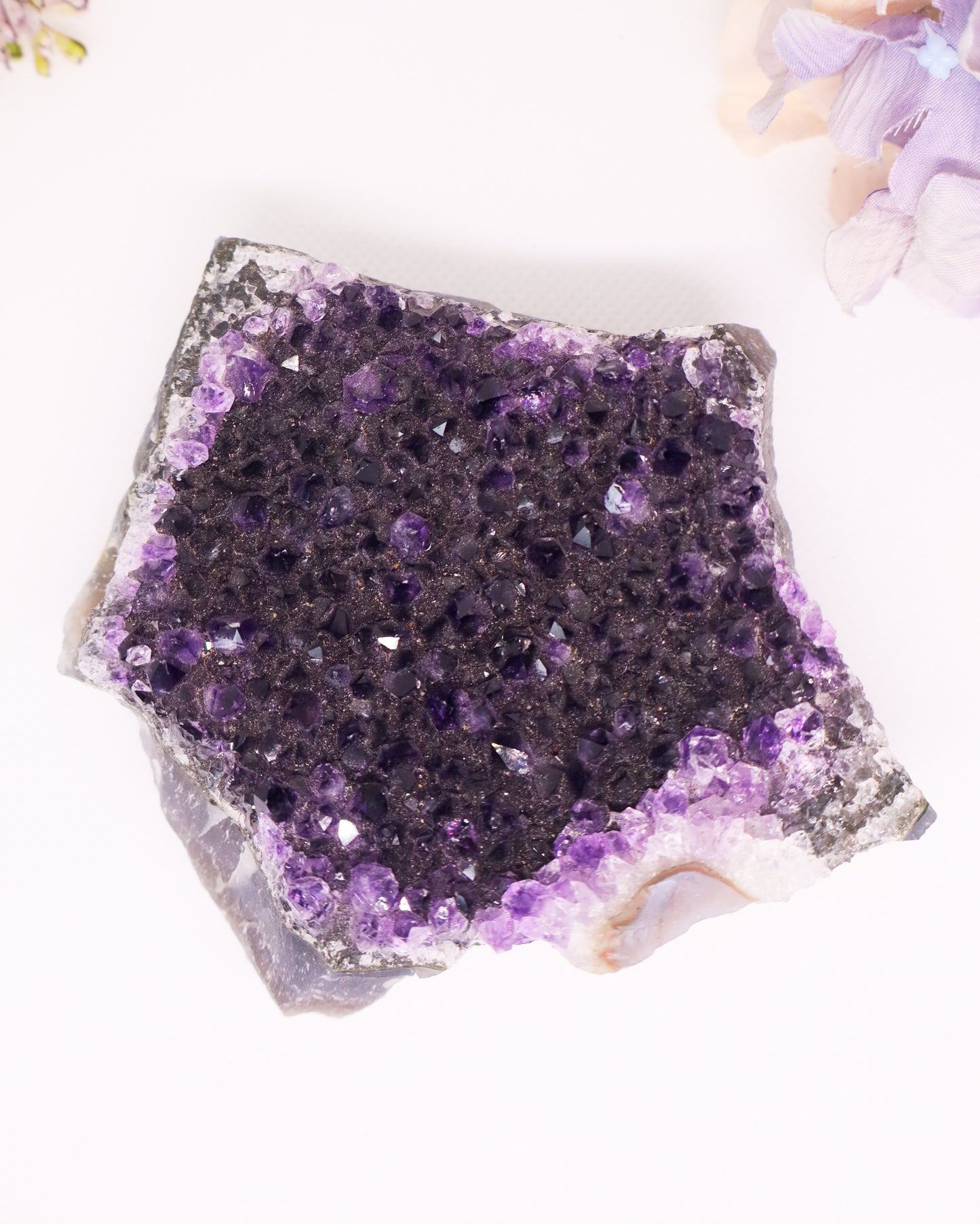 Amethyst Cluster #5