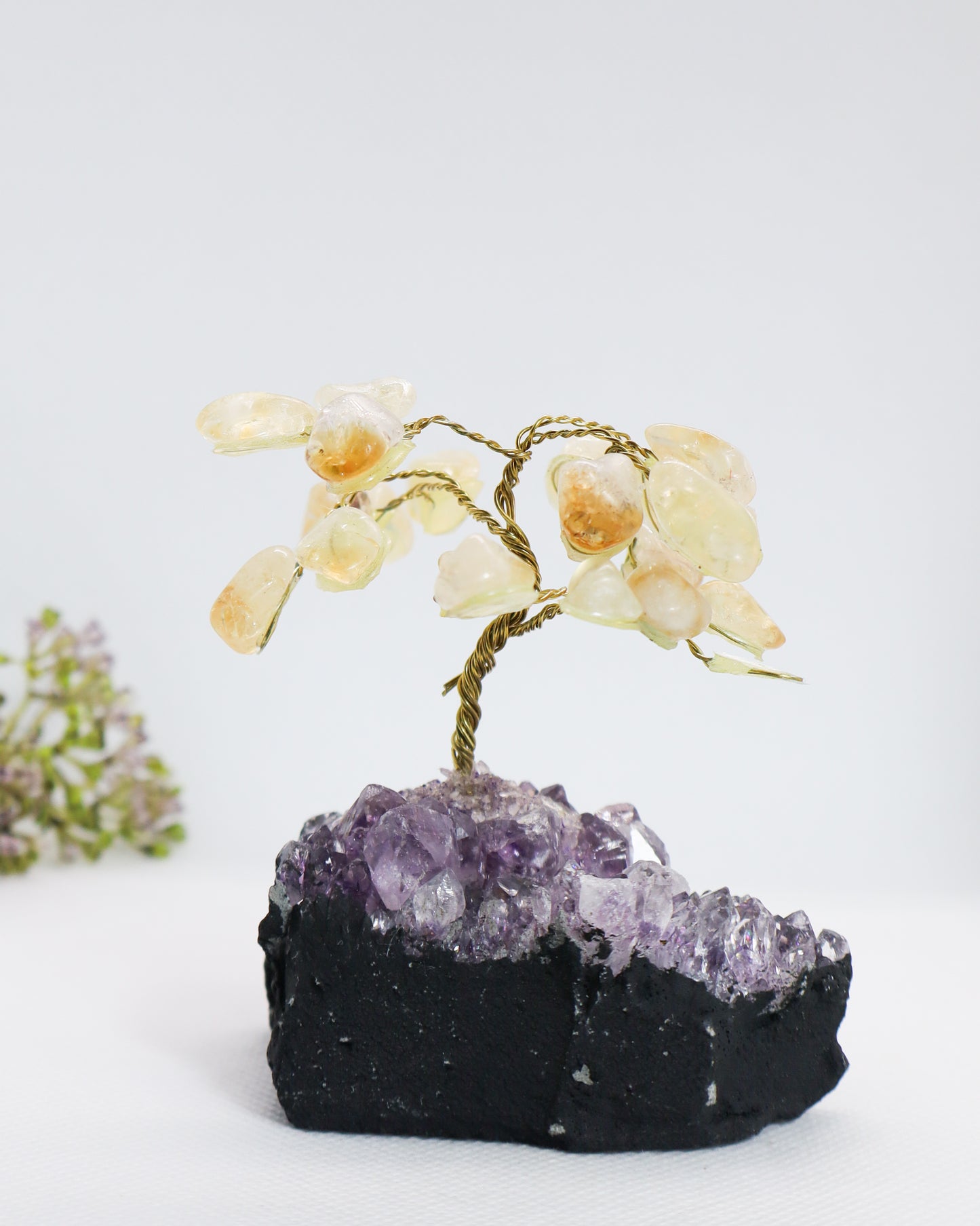 Citrine Tree on Amethyst Cluster #1