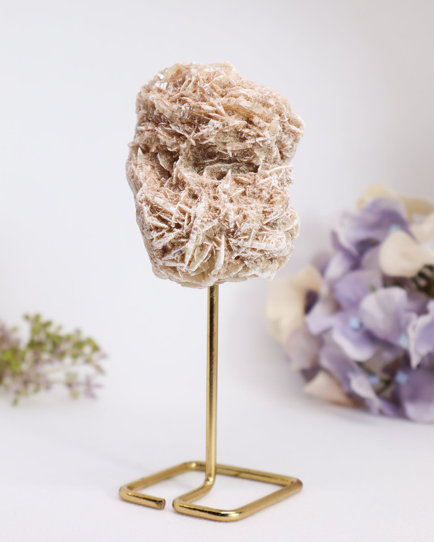 Desert Rose on Metal Stand #1