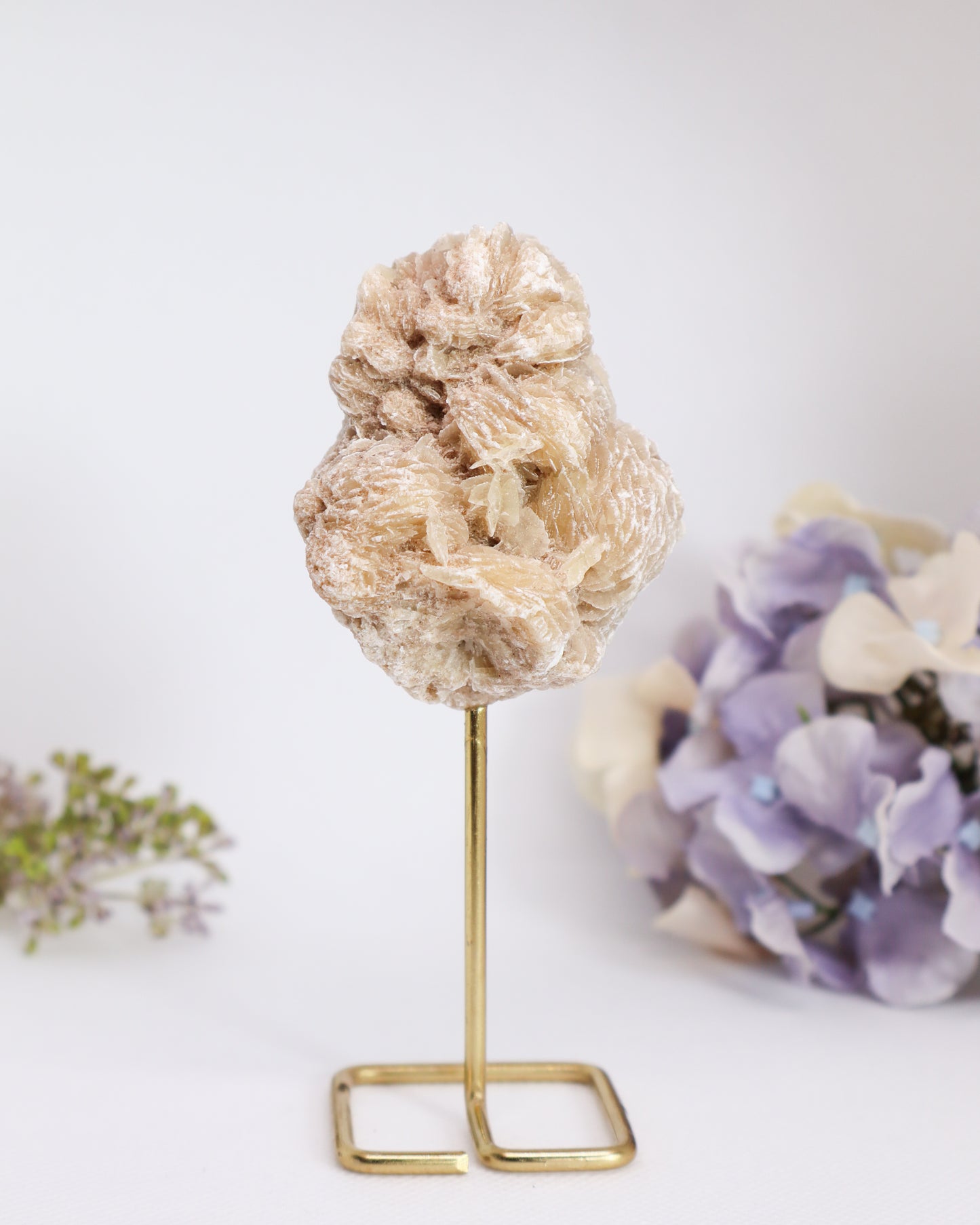 Desert Rose on Metal Stand #2