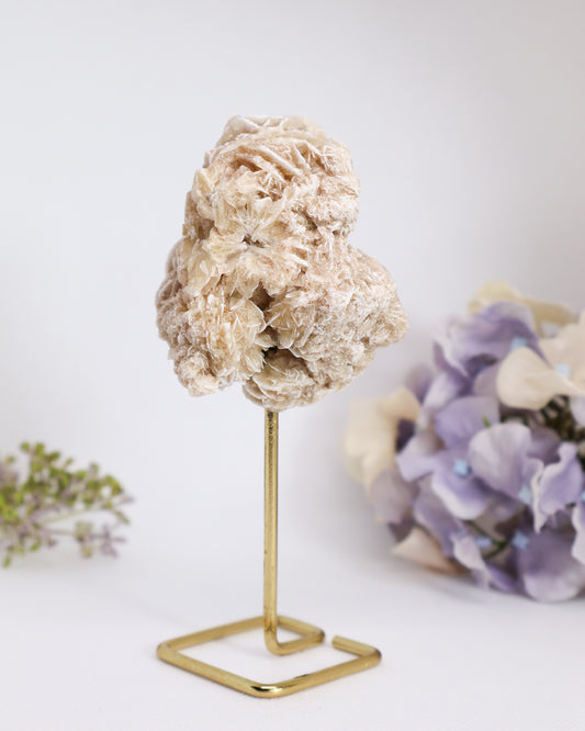 Desert Rose on Metal Stand #2