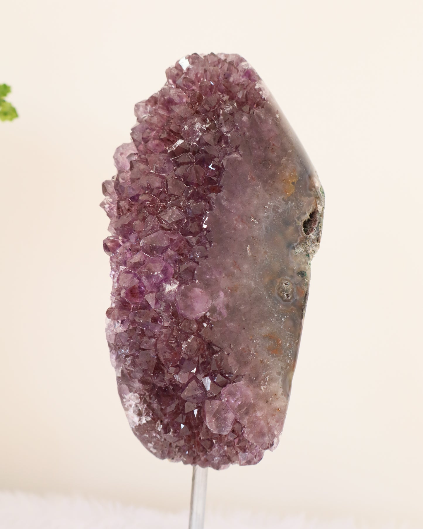 Amethyst Cluster on Stand #3