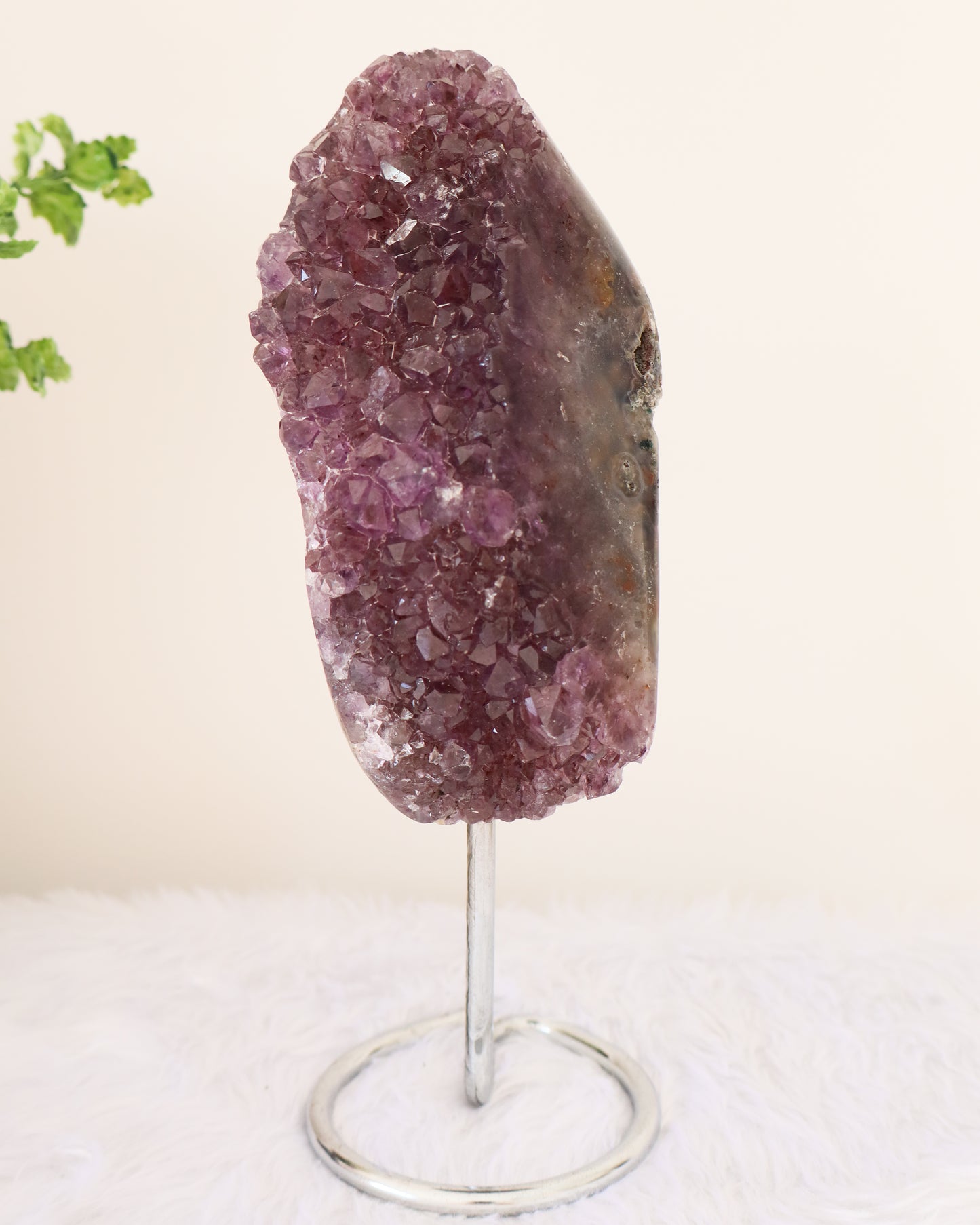 Amethyst Cluster on Stand #3