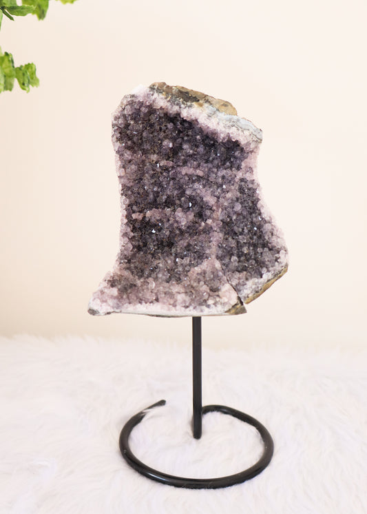 Amethyst Cluster on Stand #6