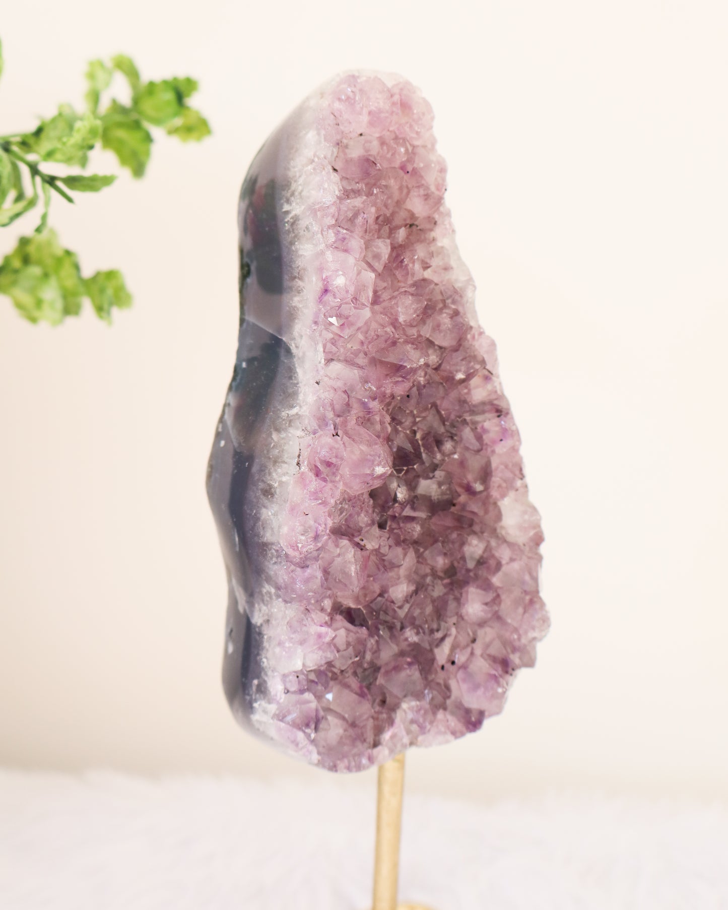 Amethyst Cluster on Stand #4