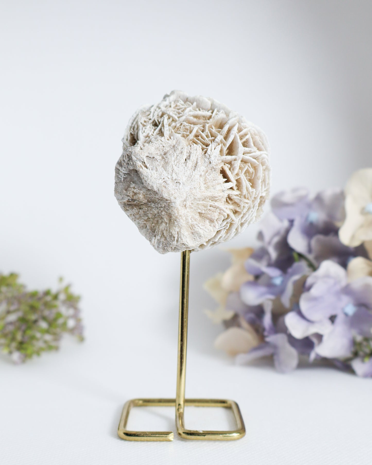 Desert Rose on Metal Stand #4