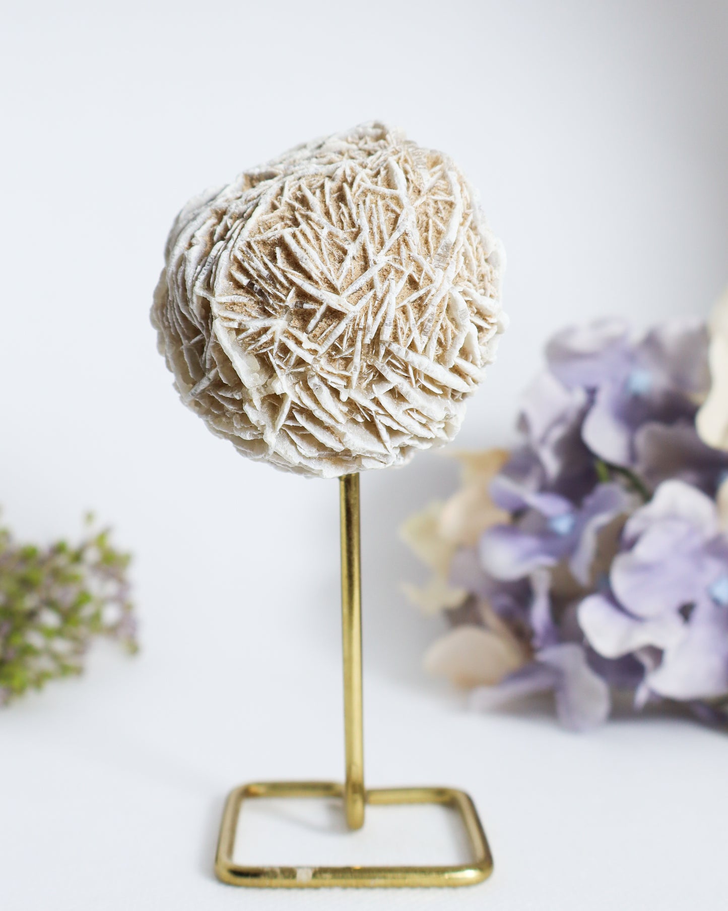 Desert Rose on Metal Stand #4