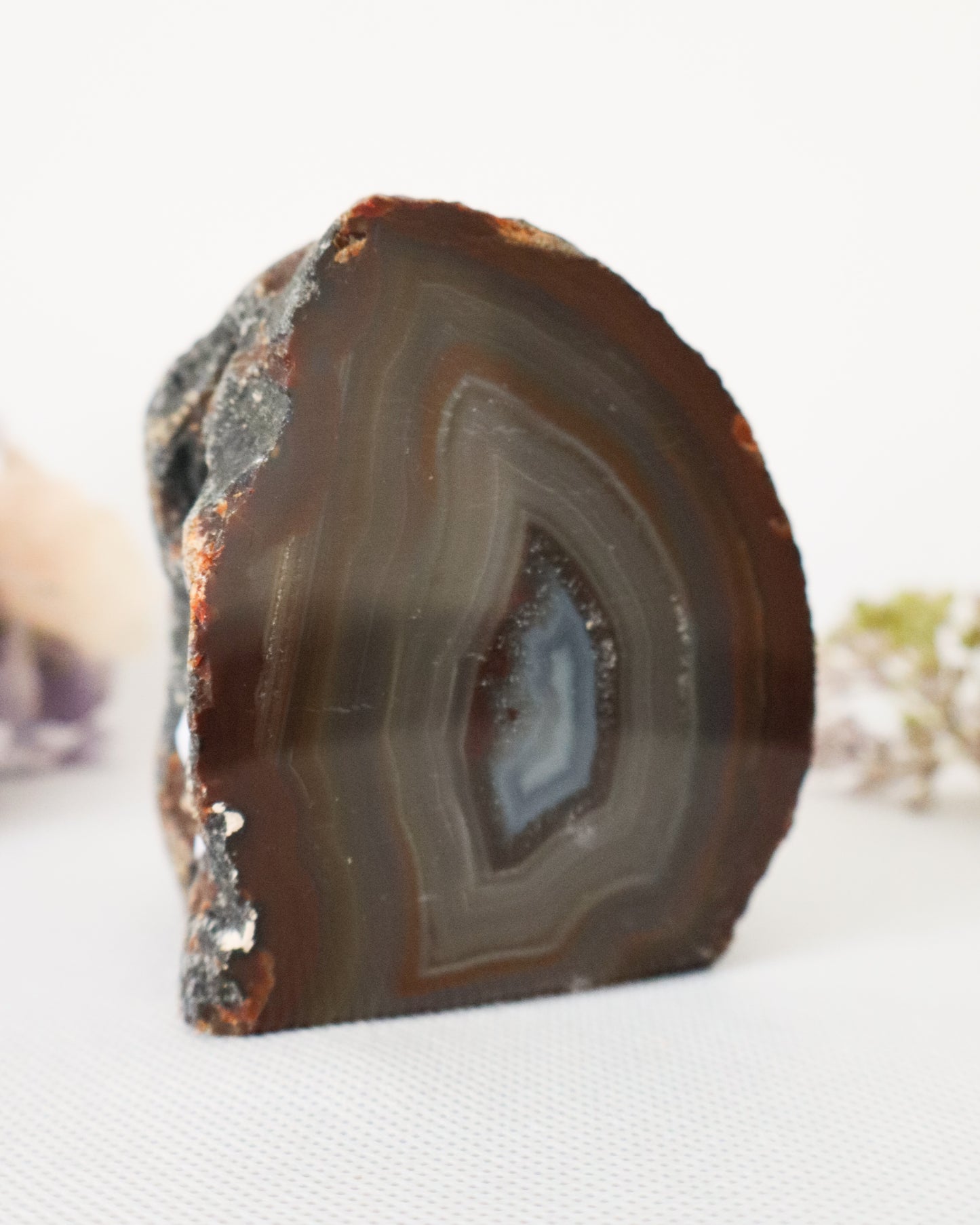 Agate Geodes #5