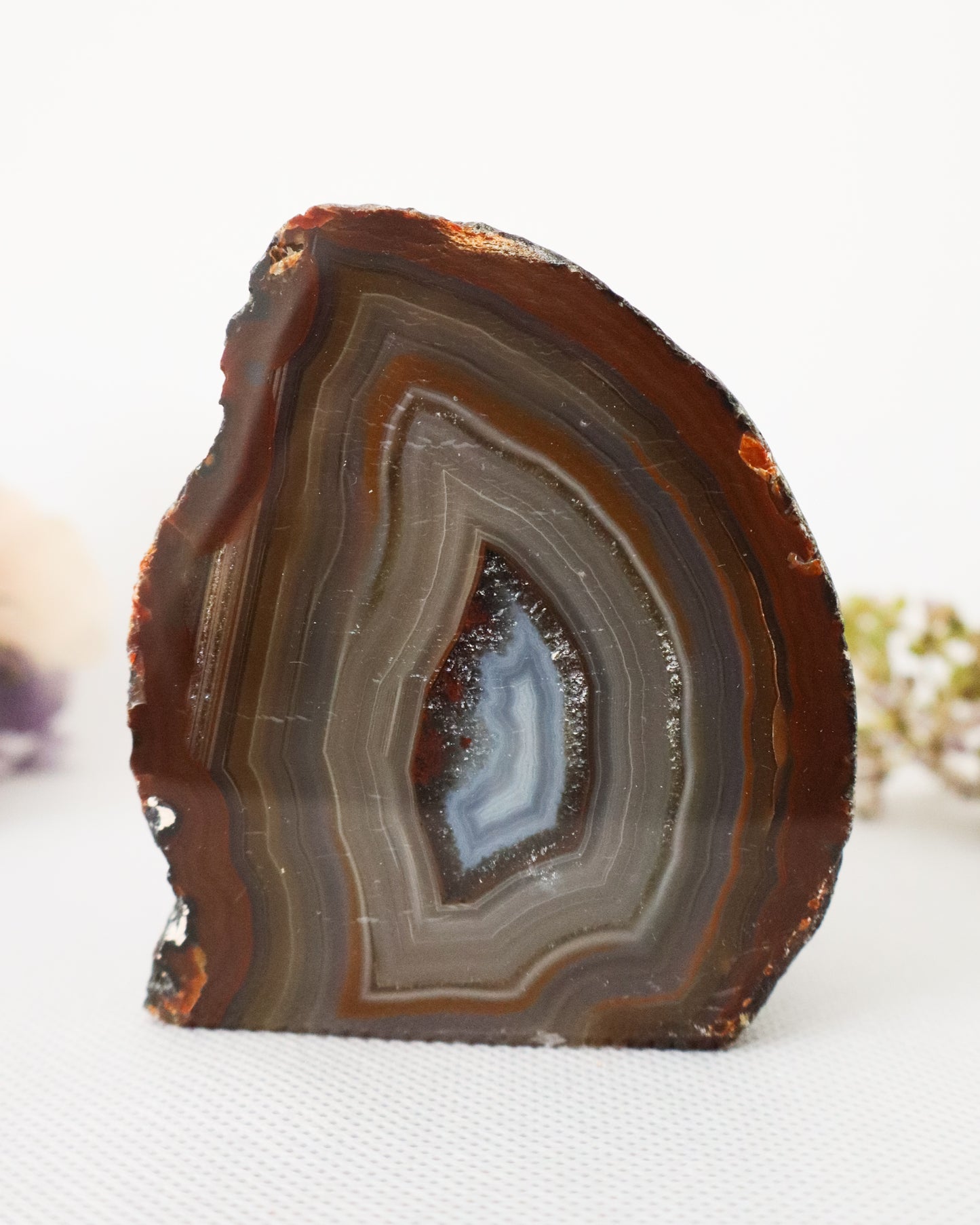 Agate Geodes #5