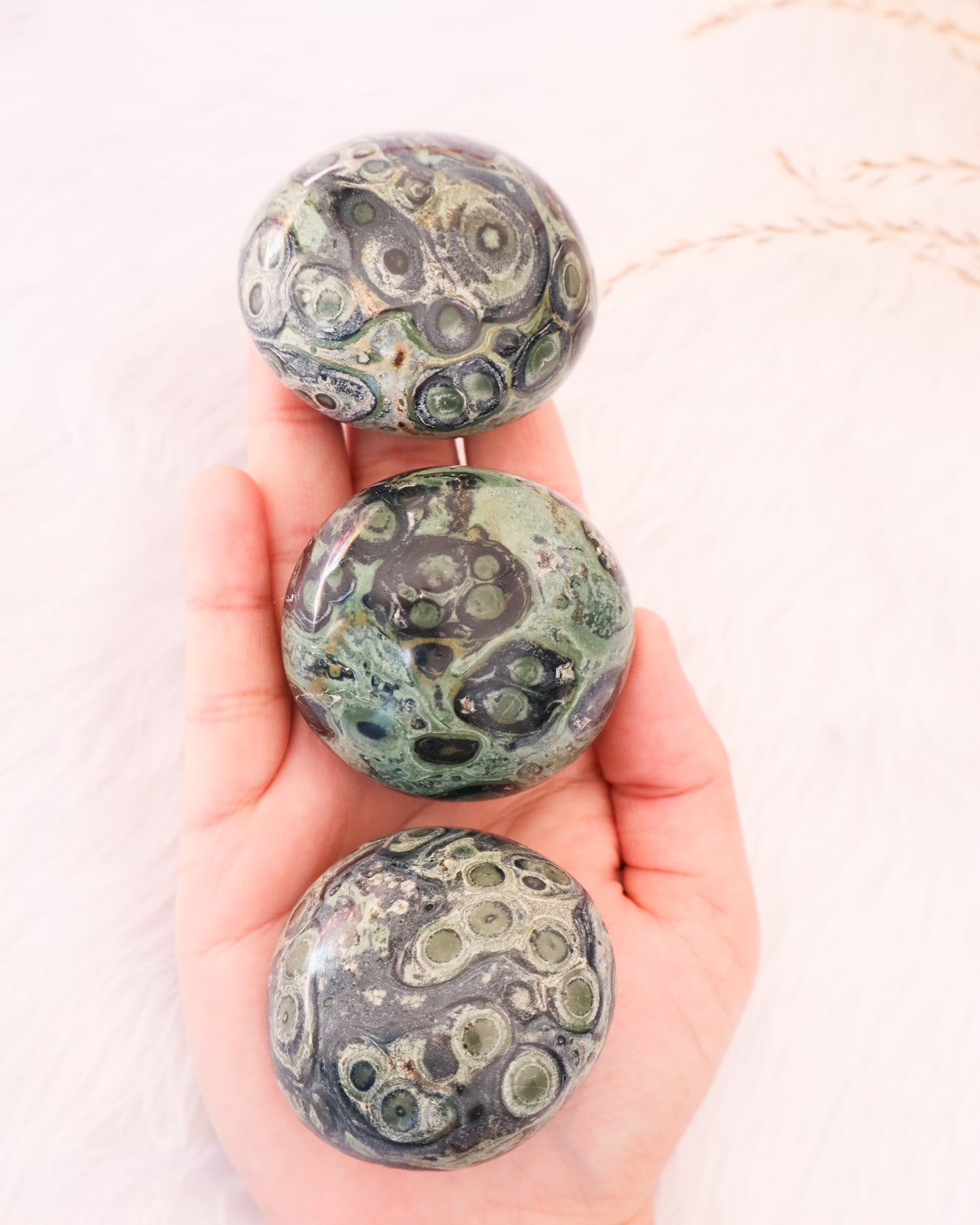 Kambaba Jasper Palm Stones