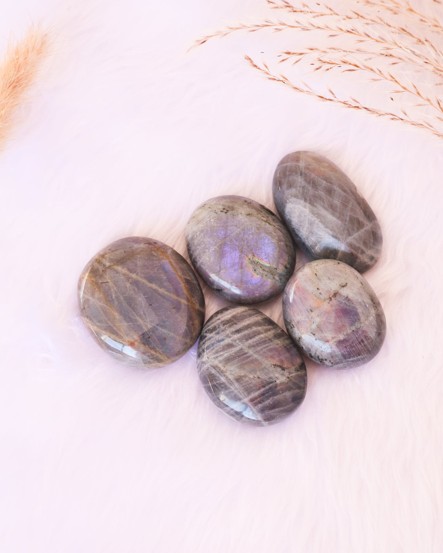 Labradorite Palmstone - Purple Flash