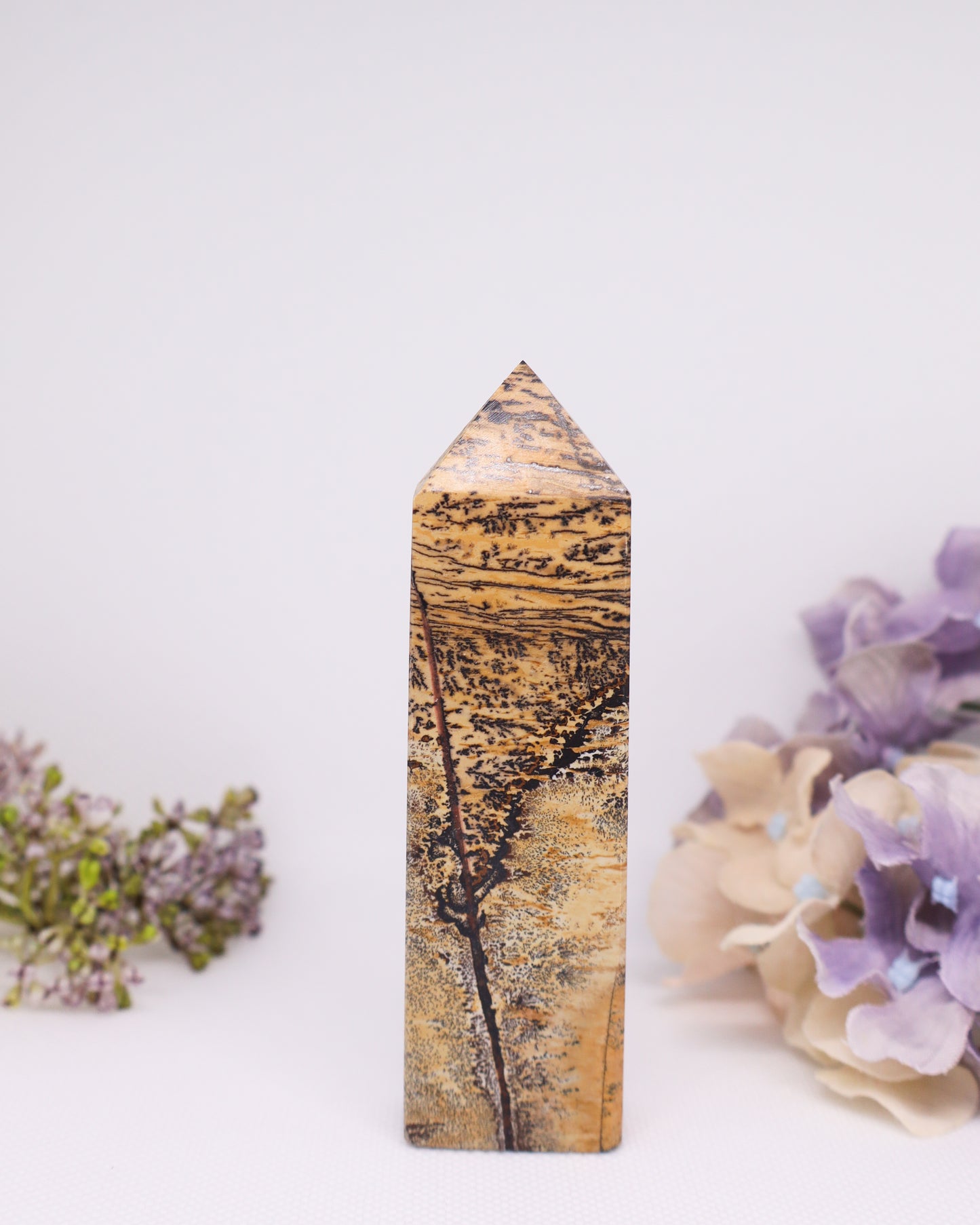 Picture Jasper Tower #1