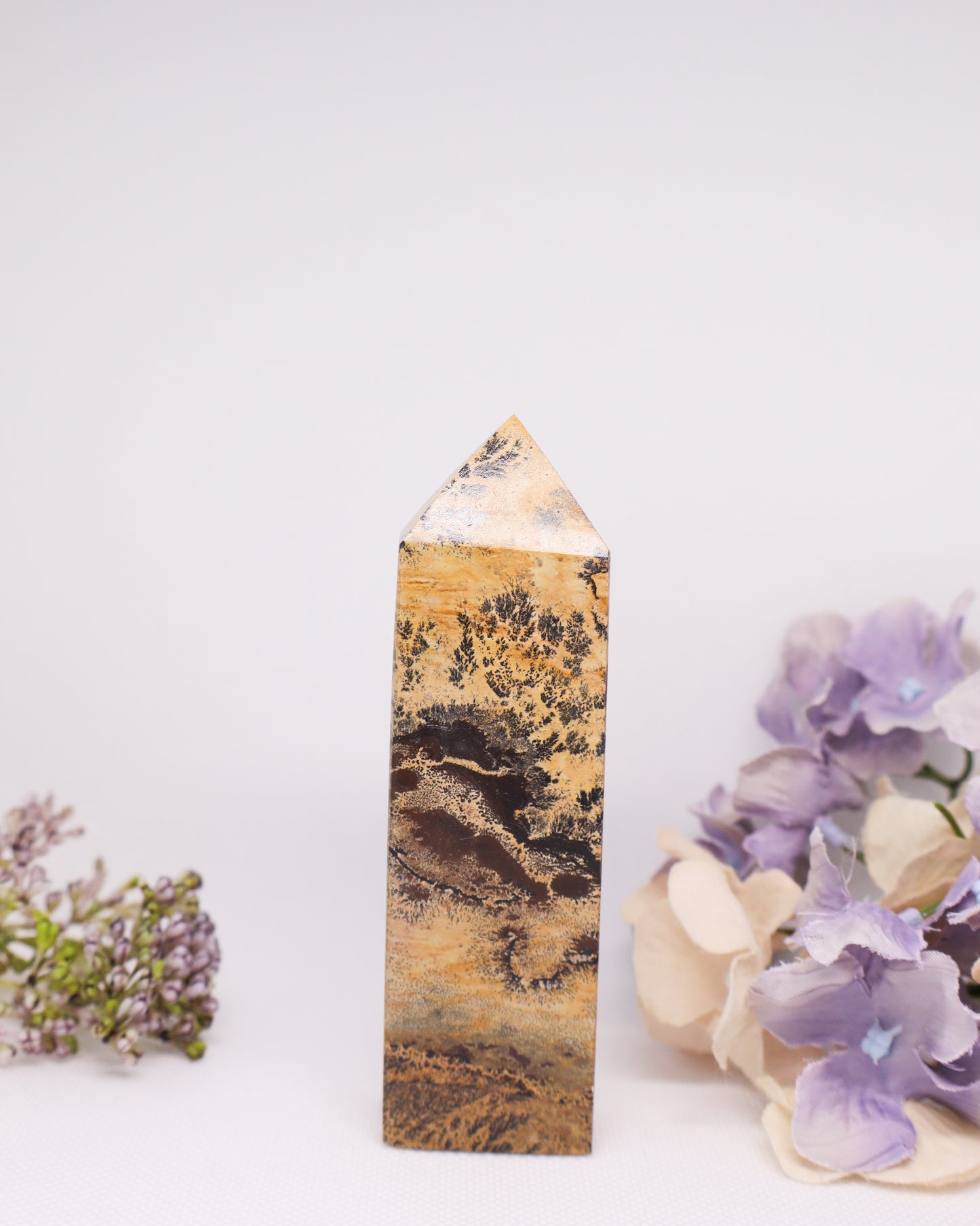 Picture Jasper Tower #4