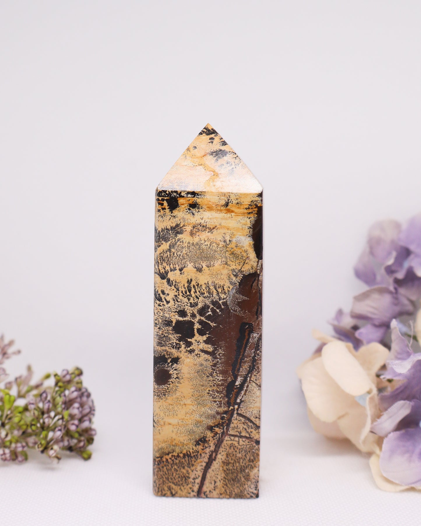 Picture Jasper Tower #4