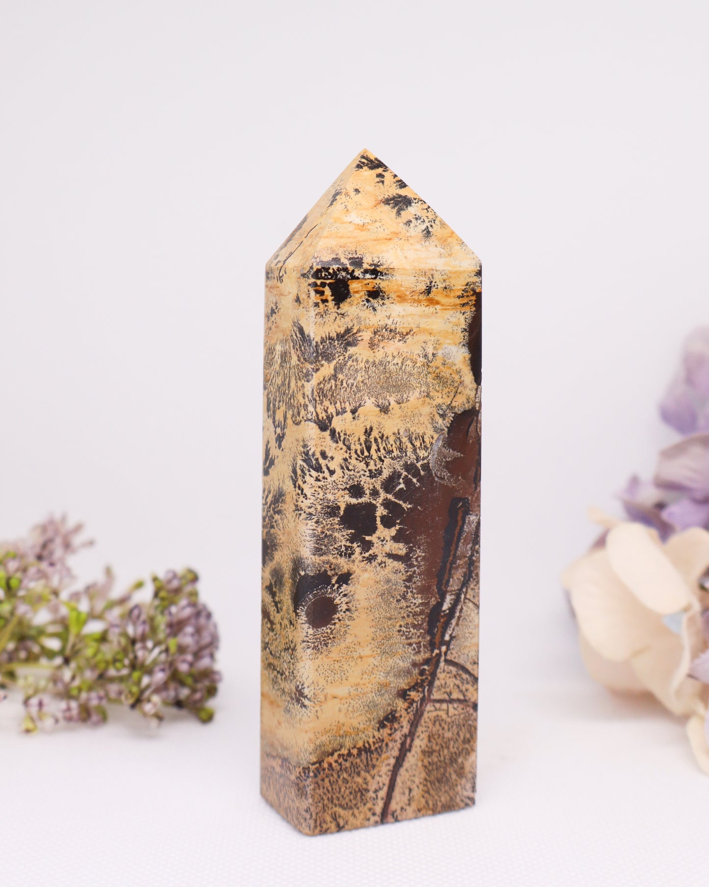 Picture Jasper Tower #4