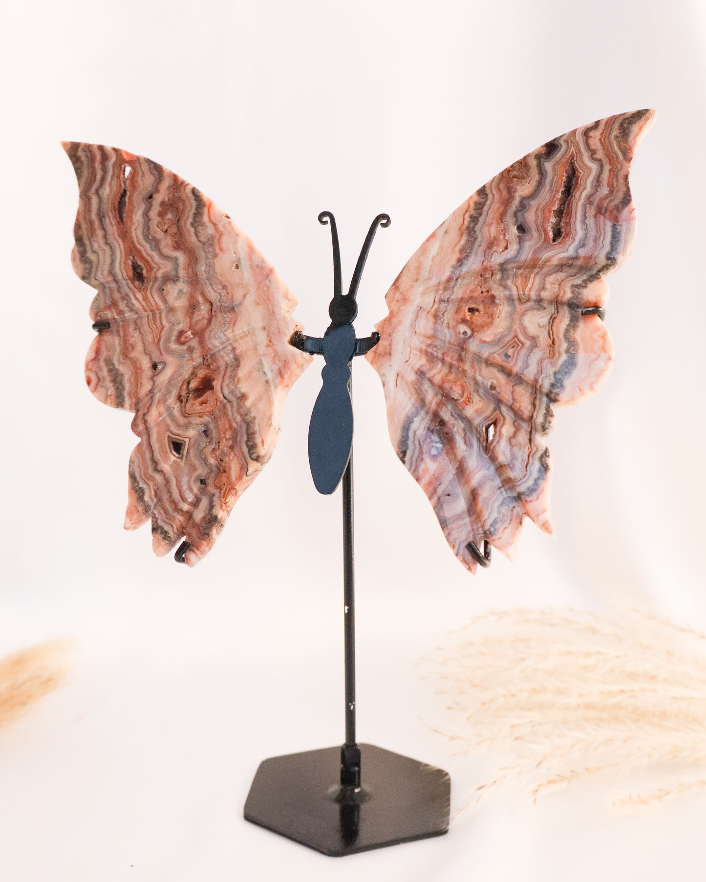 Pink Crazy Lace Agate Butterfly Wings #6