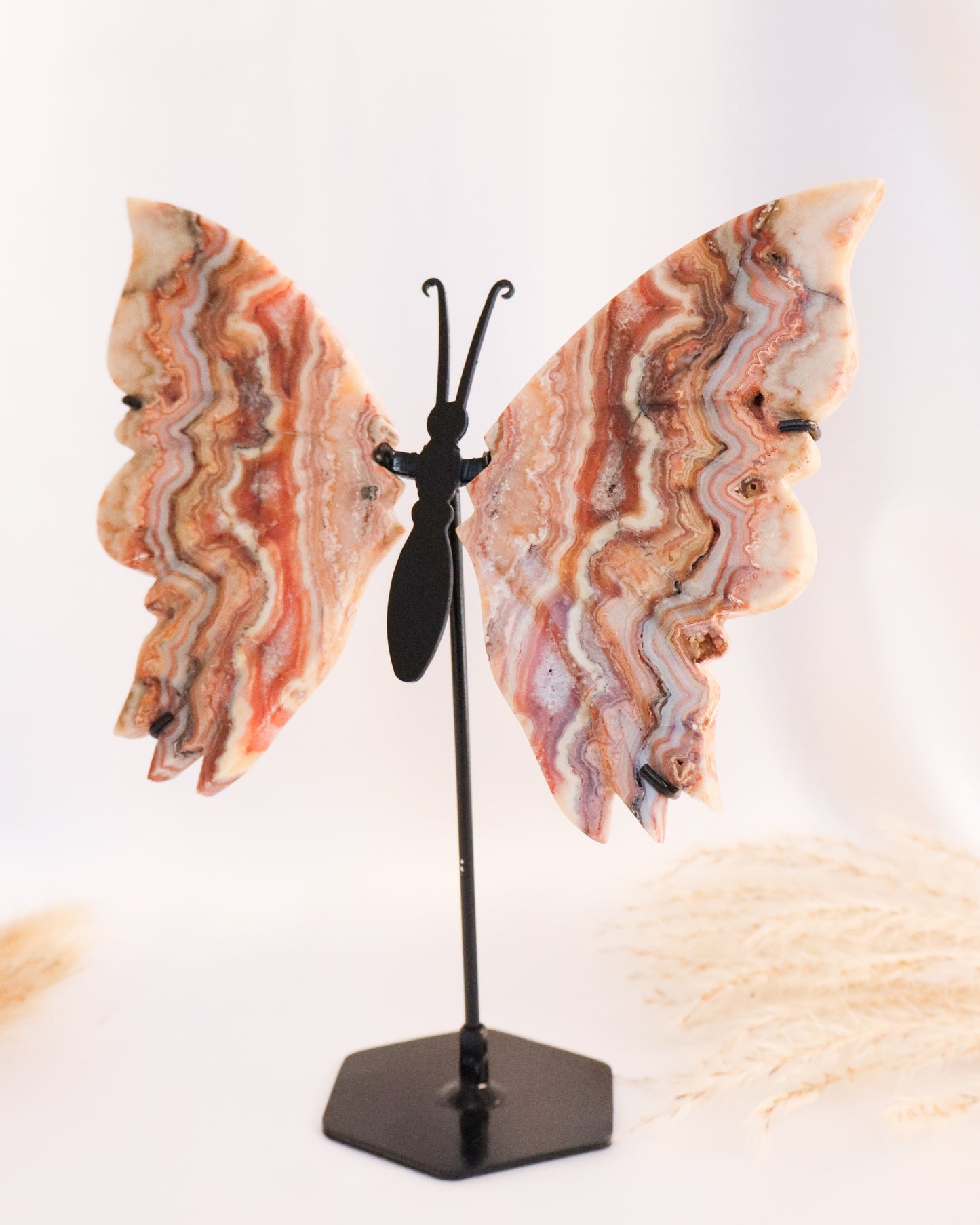 Pink Crazy Lace Agate Butterfly Wings #2