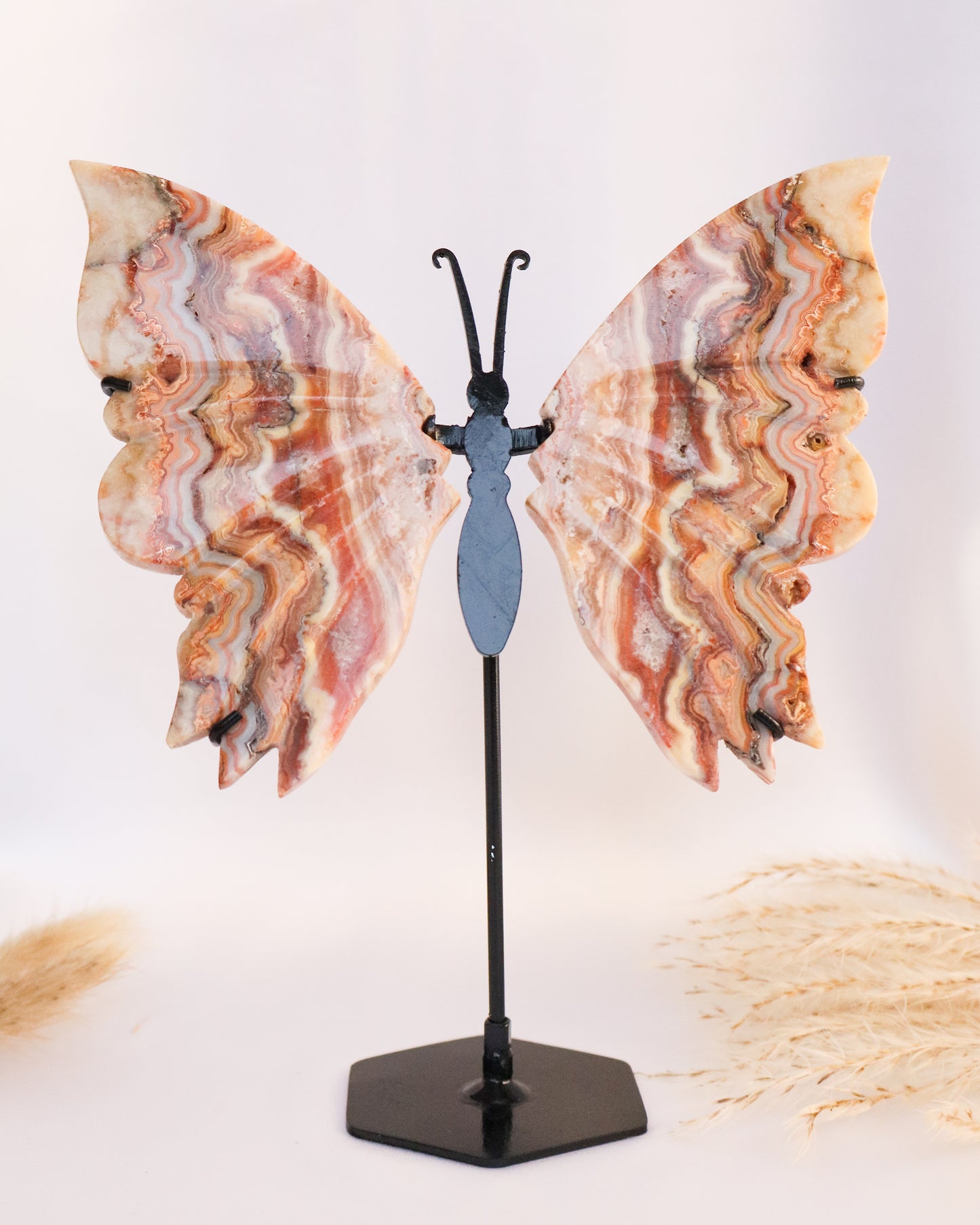 Pink Crazy Lace Agate Butterfly Wings #2