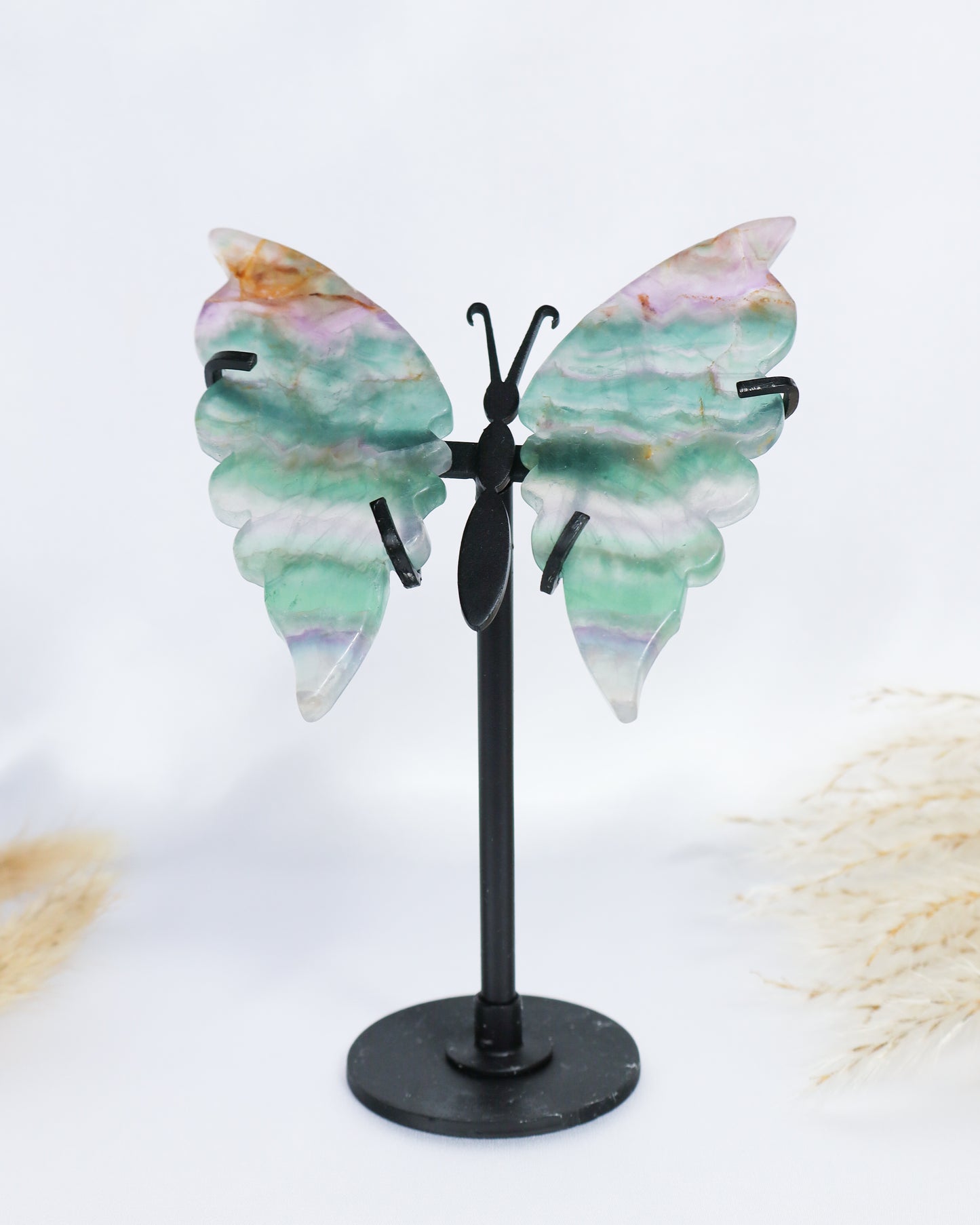 Fluorite Butterfly Wings #1