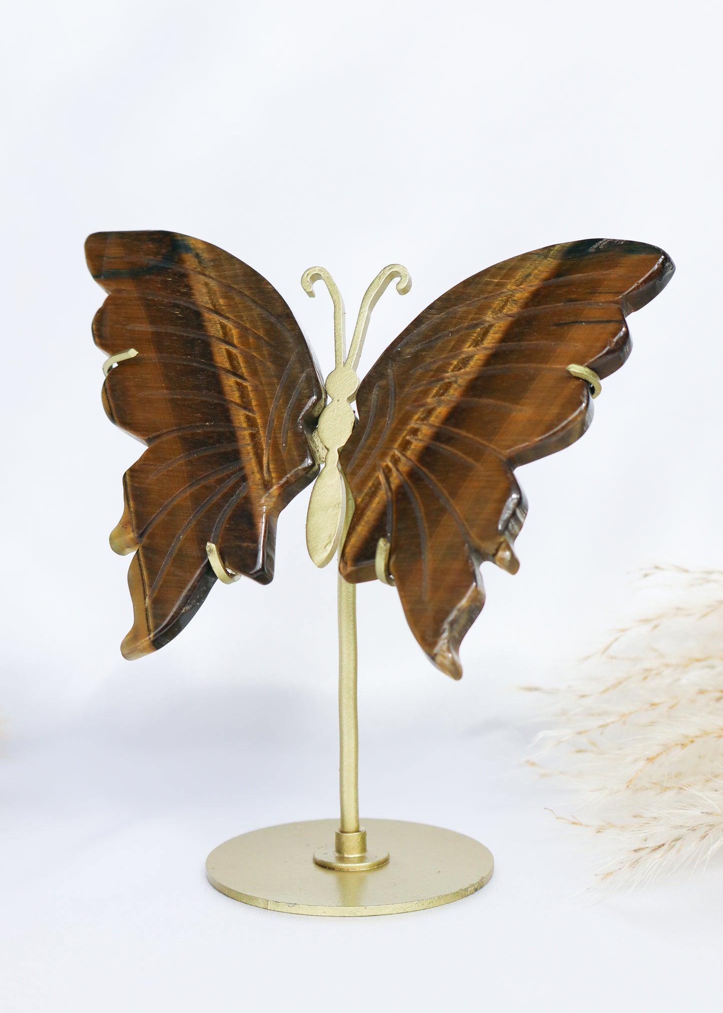 Tiger's Eye Butterfly Wings