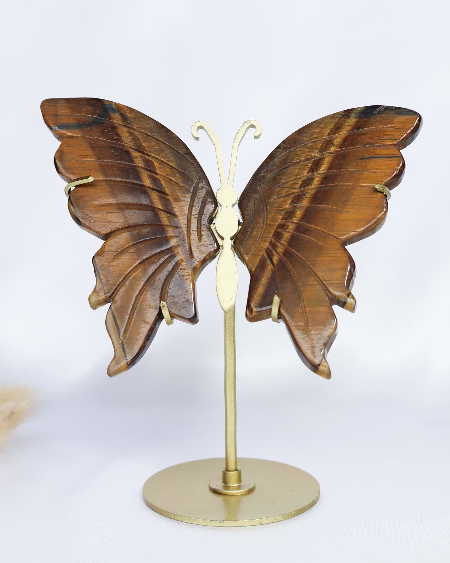 Tiger's Eye Butterfly Wings