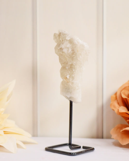 Clear Quartz Cluster on Stand #5