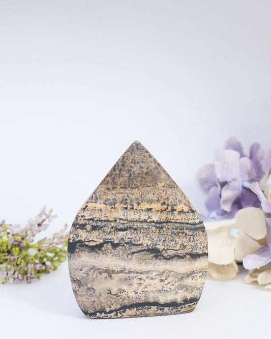 Picture Jasper Flame #2