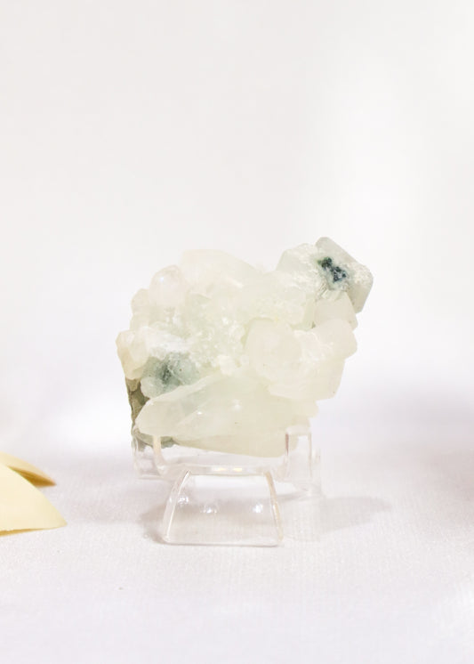Small Apophyllite Cluster - #7
