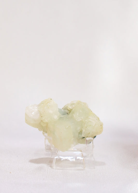 Small Apophyllite Cluster - #5